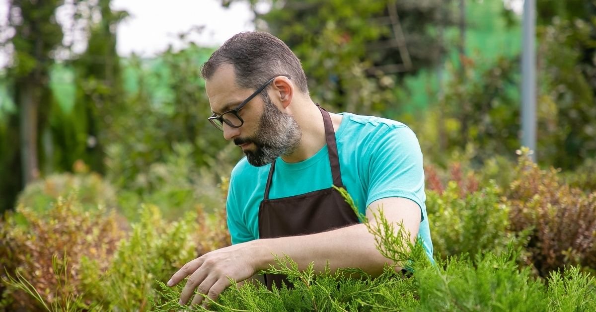 Guaranteed Results with AGS | Proven Growth Solutions