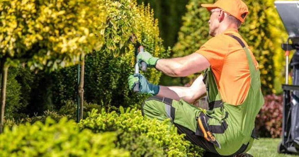 Digital Marketing for Landscaping Services That Works